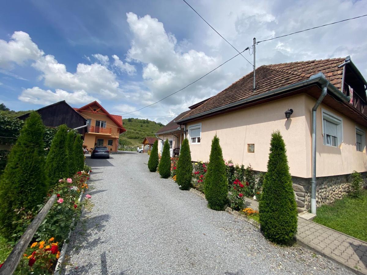 Bed and Breakfast Casa Alberto Sovata Zewnętrze zdjęcie